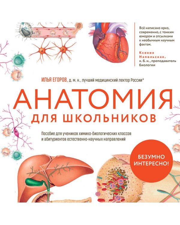 Анатомия для школьников. Пособие для учеников химико-биологических классов и абитуриентов естественно-научных направлений
