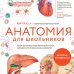 Анатомия для школьников. Пособие для учеников химико-биологических классов и абитуриентов естественно-научных направлений