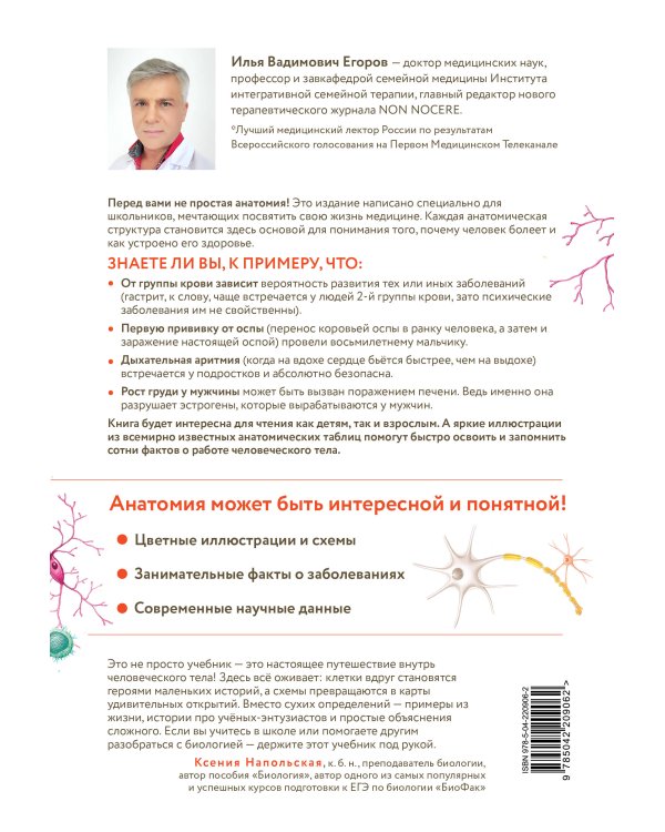 Анатомия для школьников. Пособие для учеников химико-биологических классов и абитуриентов естественно-научных направлений