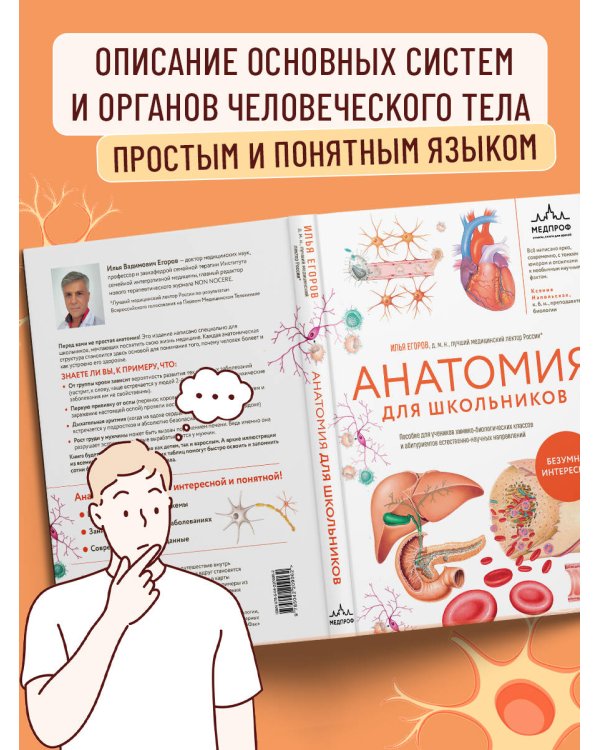 Анатомия для школьников. Пособие для учеников химико-биологических классов и абитуриентов естественно-научных направлений