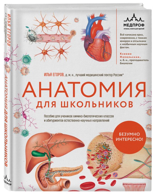 Анатомия для школьников. Пособие для учеников химико-биологических классов и абитуриентов естественно-научных направлений