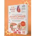Анатомия для школьников. Пособие для учеников химико-биологических классов и абитуриентов естественно-научных направлений