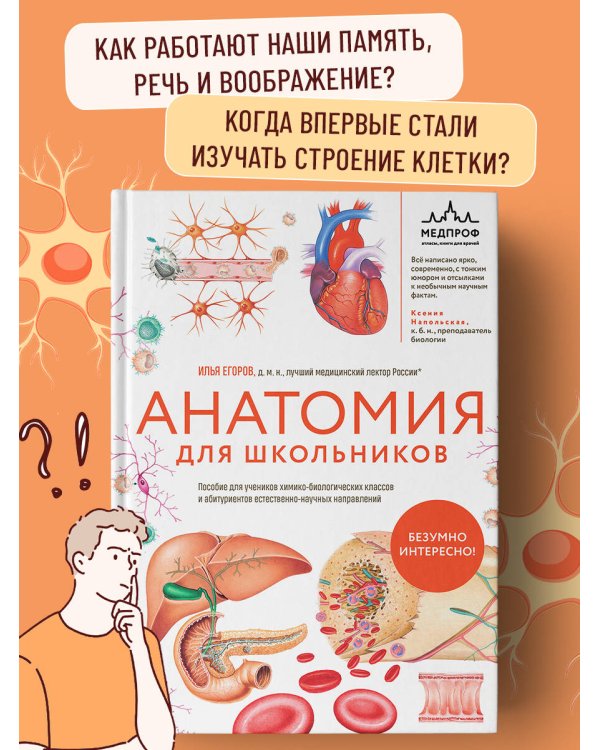 Анатомия для школьников. Пособие для учеников химико-биологических классов и абитуриентов естественно-научных направлений