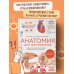 Анатомия для школьников. Пособие для учеников химико-биологических классов и абитуриентов естественно-научных направлений