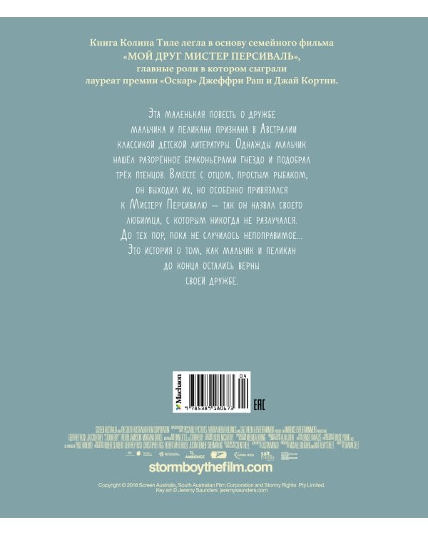 Дополнительное изображение книги «Штормик и мистер Персиваль»