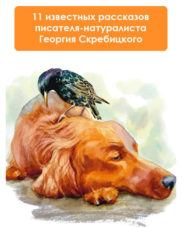 Зеленый шум. Рассказы