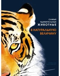 Самые удивительные животные в натуральную величину