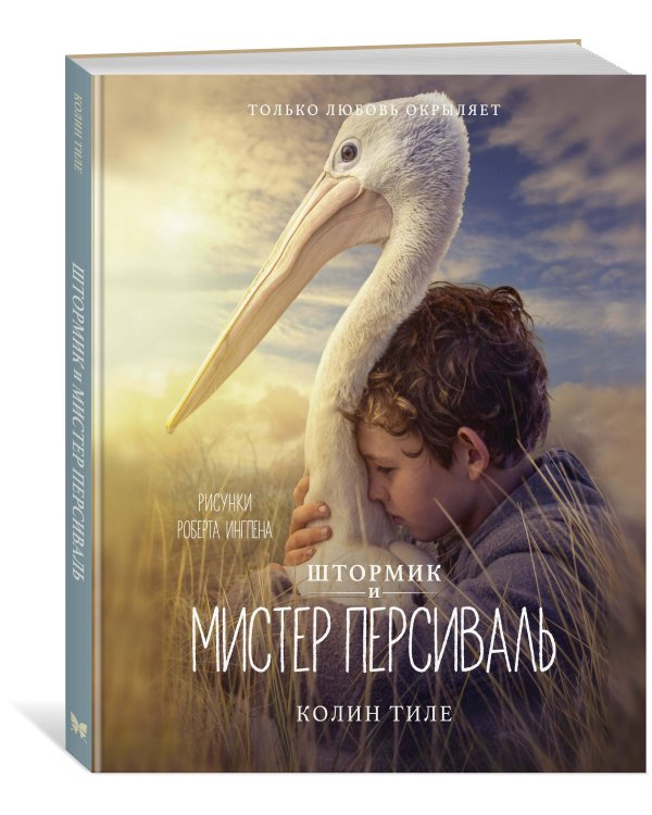 Дополнительное изображение книги «Штормик и мистер Персиваль»