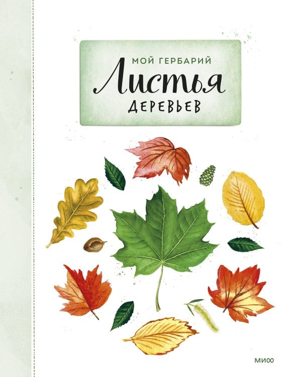 Мой гербарий Мой гербарий. Листья деревьев(переупак)