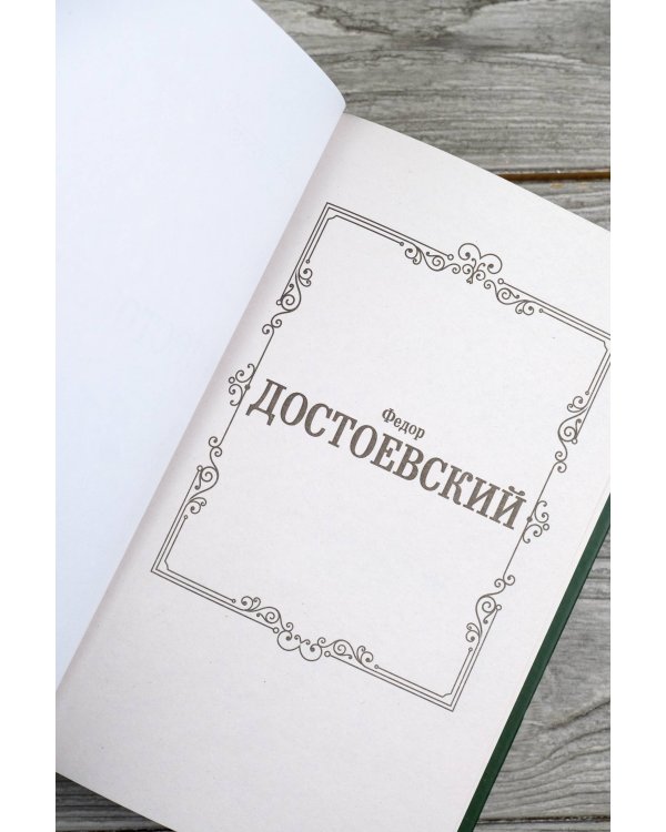 Дневник писателя 1873-1876