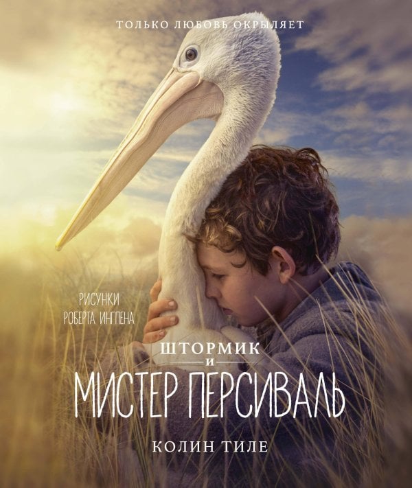 Обложка книги «Штормик и мистер Персиваль» — Тиле Колин, ISBN 9785389180673