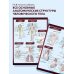 Наглядные пособия. Учебник Анатомия. Самая компактная анатомическая таблица