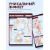 Наглядные пособия. Учебник Анатомия. Самая компактная анатомическая таблица