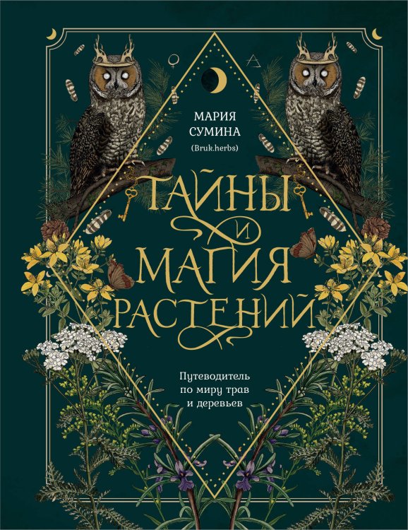 Зеленая ведьма. Книги по колдовству Тайны и магия растений. Путеводитель по миру трав и деревьев