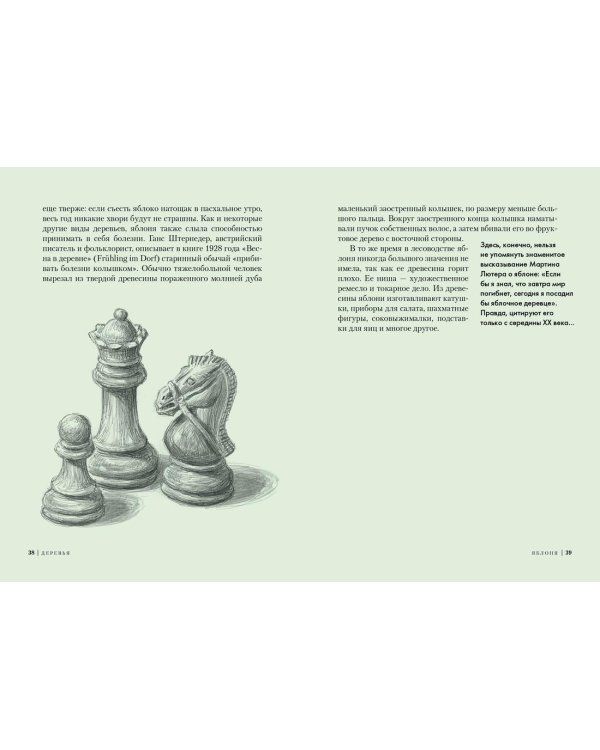 Деревья. Как жизни человека и дерева переплетены друг с другом