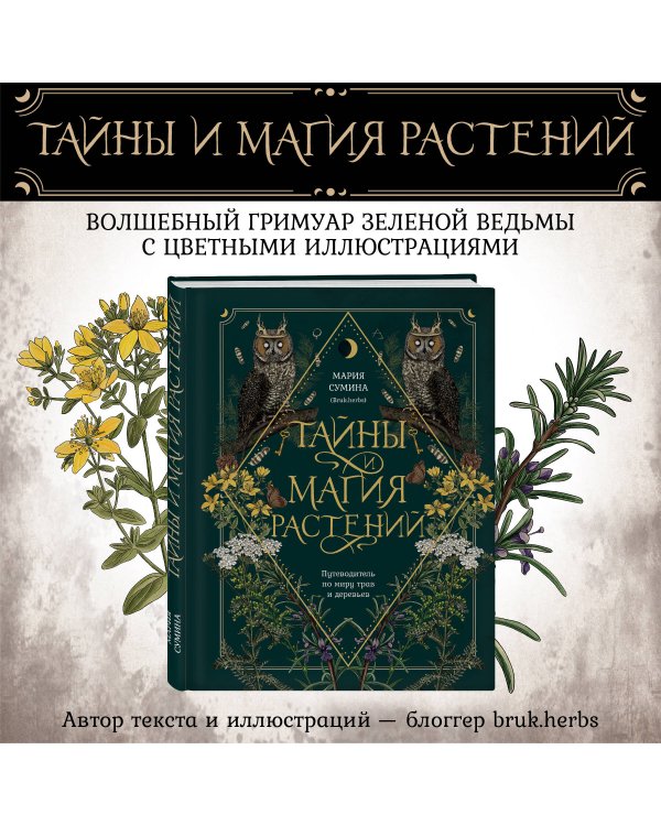 Тайны и магия растений. Путеводитель по миру трав и деревьев