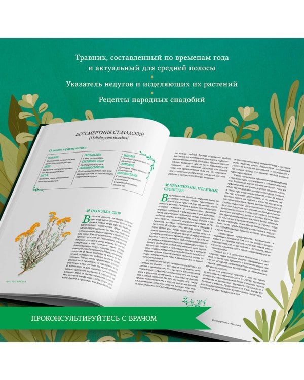 Гримуар травницы. Иллюстрированный справочник по сбору, заготовкам и полезным свойствам дикорастущих растений