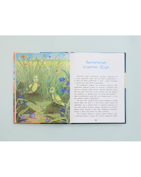 Сделай Так, и Все получится! Сказкотерапия. Книга 1