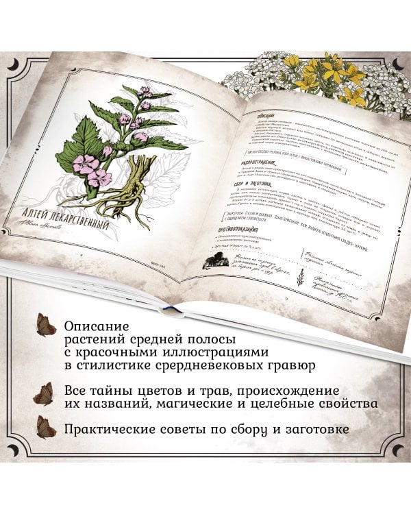 Тайны и магия растений. Путеводитель по миру трав и деревьев