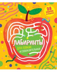 ВВИ20. Лабиринты. Лабиринты для ловких и сообразительных/Кошечкина Женя