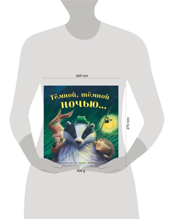 Книжки-картинки. Тёмной, тёмной ночью