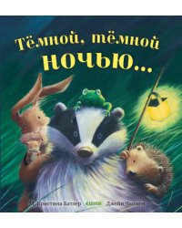 Книжки-картинки. Тёмной, тёмной ночью