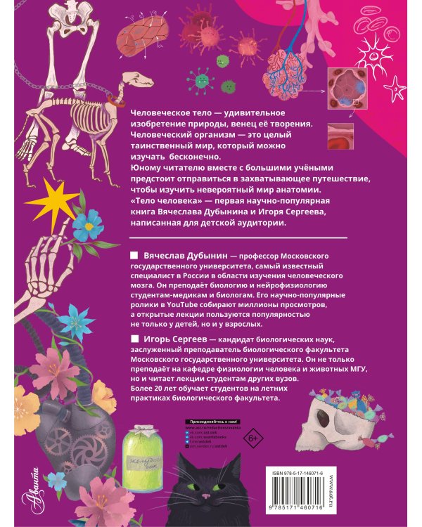 Тело человека