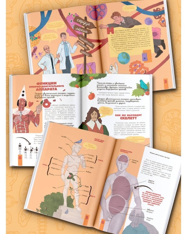 Тело человека