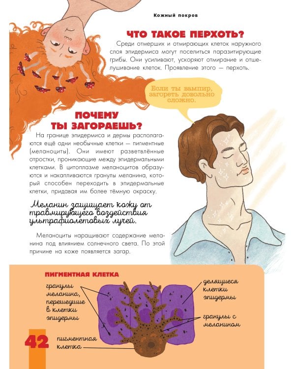 Тело человека