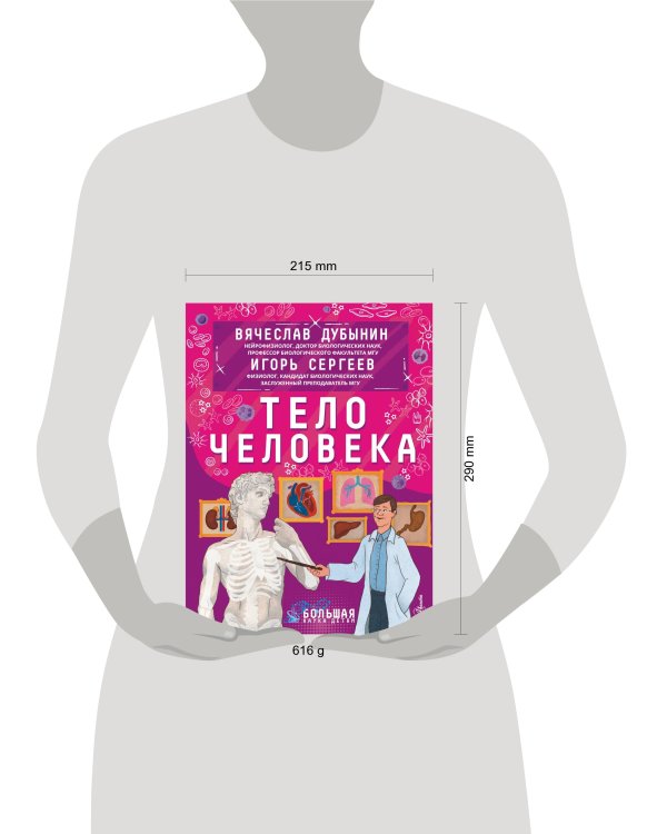 Тело человека