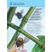 Атласы и энциклопедии. Полные энциклопедии Насекомые. Полная энциклопедия