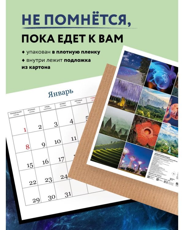 Удивительная планета. Календарь настенный на 16 месяцев на 2024 год (300х300 мм)