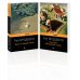 Мы родом из детства (комплект из 2-х книг:"Вино из одуванчиков" и "Гринтаун. Мишурный город" Рэй Брэдбери)