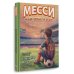 Месси: мальчик, который стал звездой. Вдохновляющая детская книга о Лионеле Месси — одном из лучших футболистов в истории