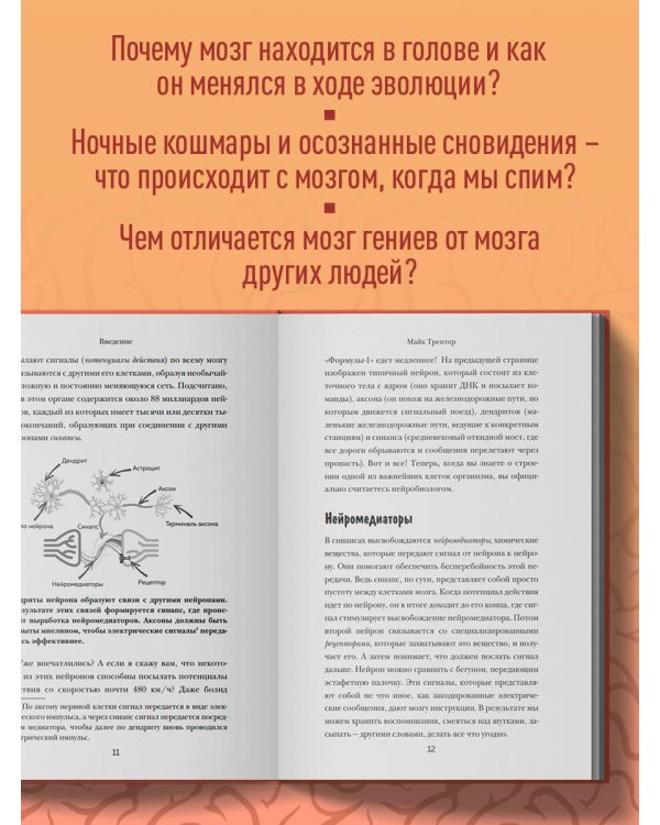МОЗГ. Советы ученого, как по максимуму использовать самый совершенный в мире орган