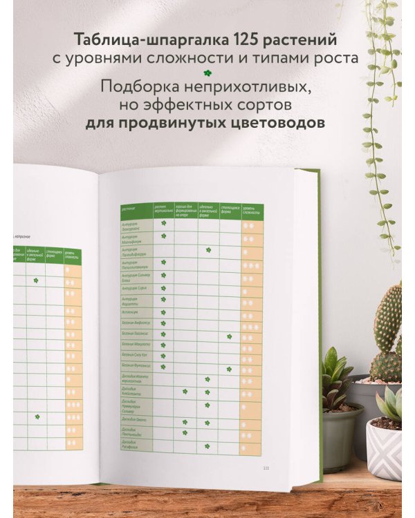 Эстетика живого интерьера. Как создать стильное пространство с помощью комнатных растений