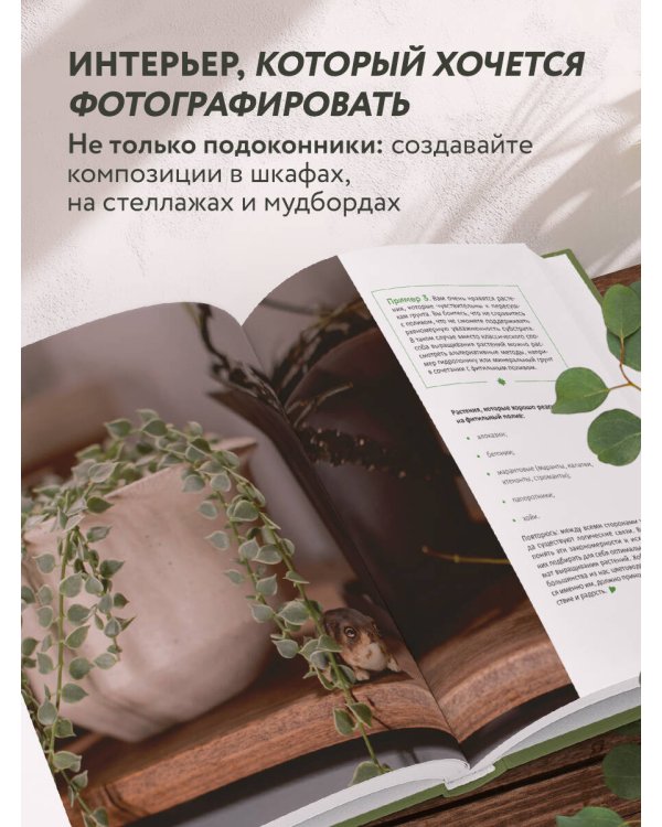 Эстетика живого интерьера. Как создать стильное пространство с помощью комнатных растений