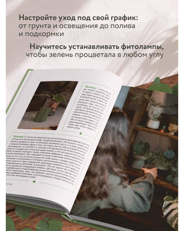 Эстетика живого интерьера. Как создать стильное пространство с помощью комнатных растений