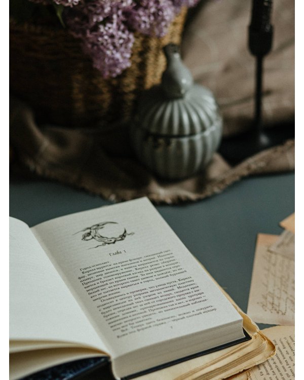 Дополнительное изображение книги «Дело Теней (#1)»