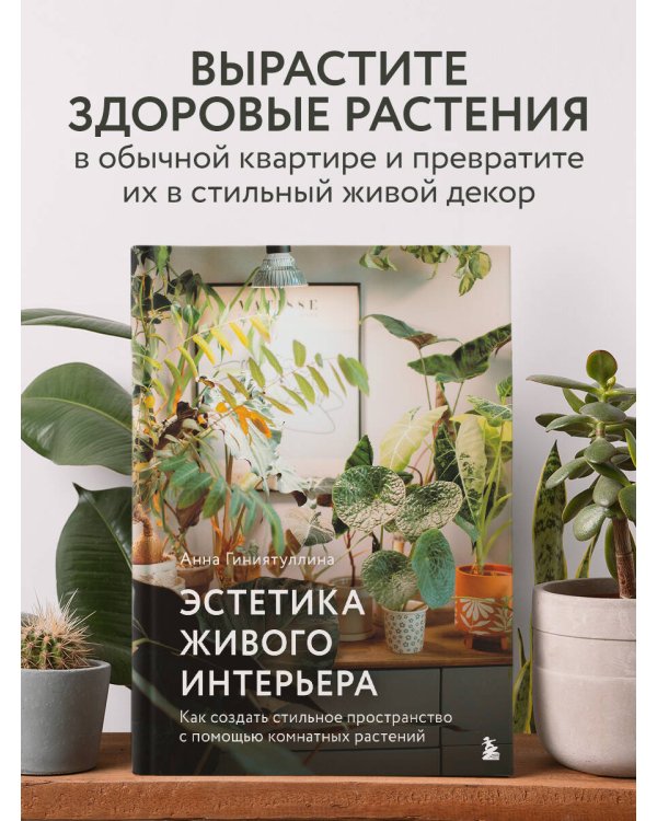Эстетика живого интерьера. Как создать стильное пространство с помощью комнатных растений