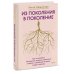 Авторская серия Инны Хамитовой Из поколения в поколение. Как остановить негативное влияние прошлого и найти в семейной истории опору и ресурс