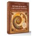 Великая книга сакральной геометрии. Тайные знаки мироздания. Полноцветное издание