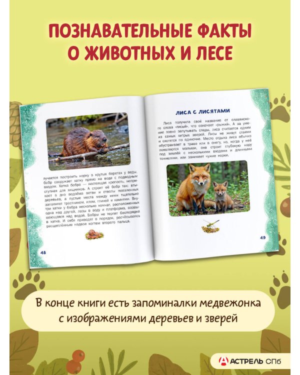 Первые уроки медвежонка