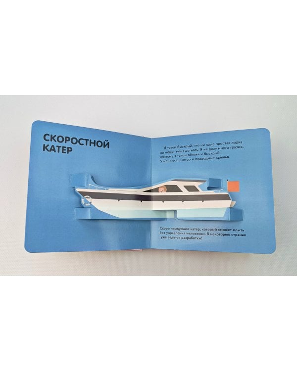 Дополнительное изображение книги «Корабли и самолеты»