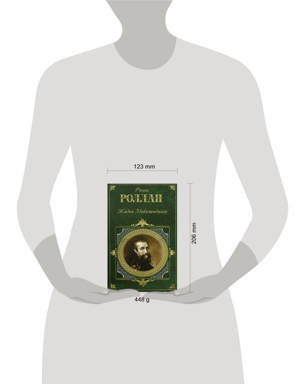 Дополнительное изображение книги «Жизнь Микеланджело»