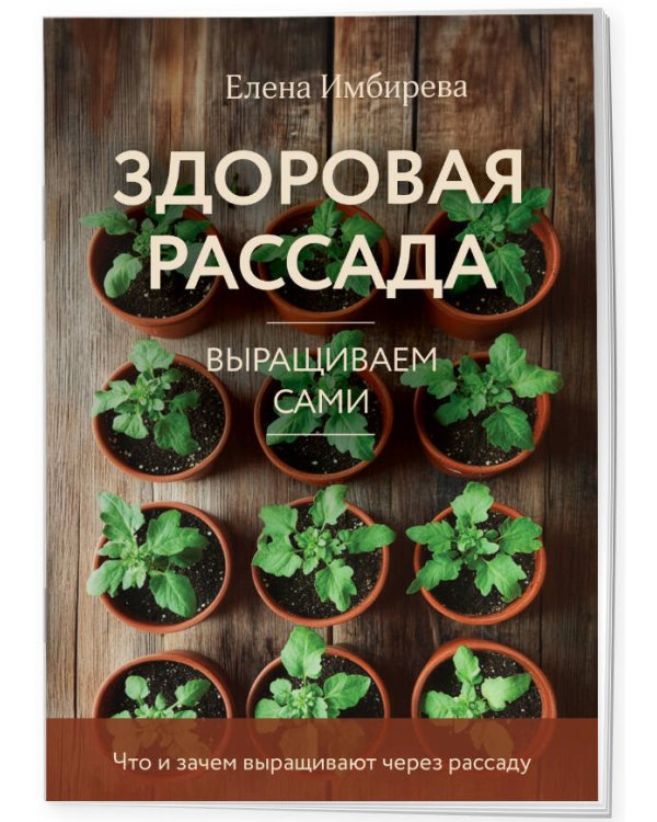 Здоровая рассада. Выращиваем сами (новое оформление)
