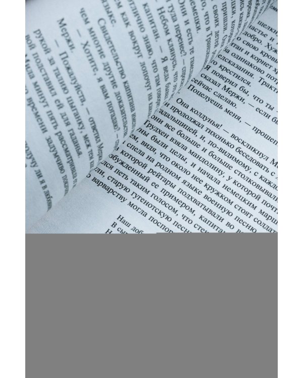 Хроника времен Карла IX