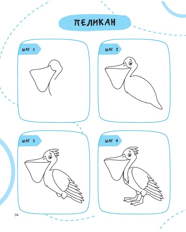 Рисуем за 30 секунд рыб, птиц и насекомых