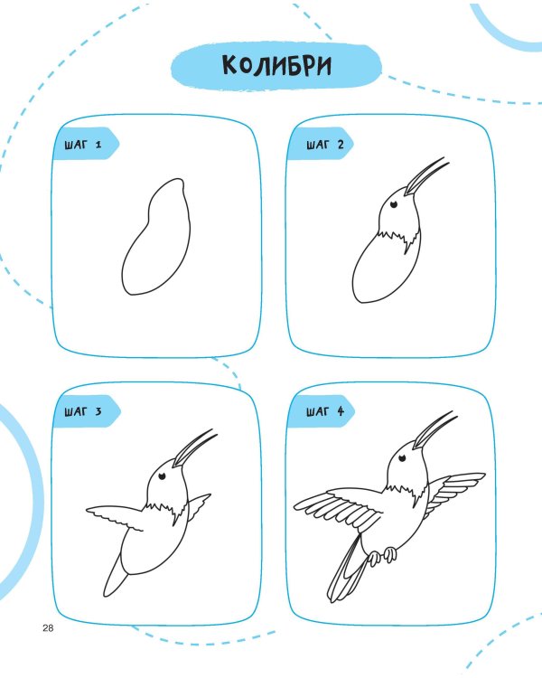 Рисуем за 30 секунд рыб, птиц и насекомых