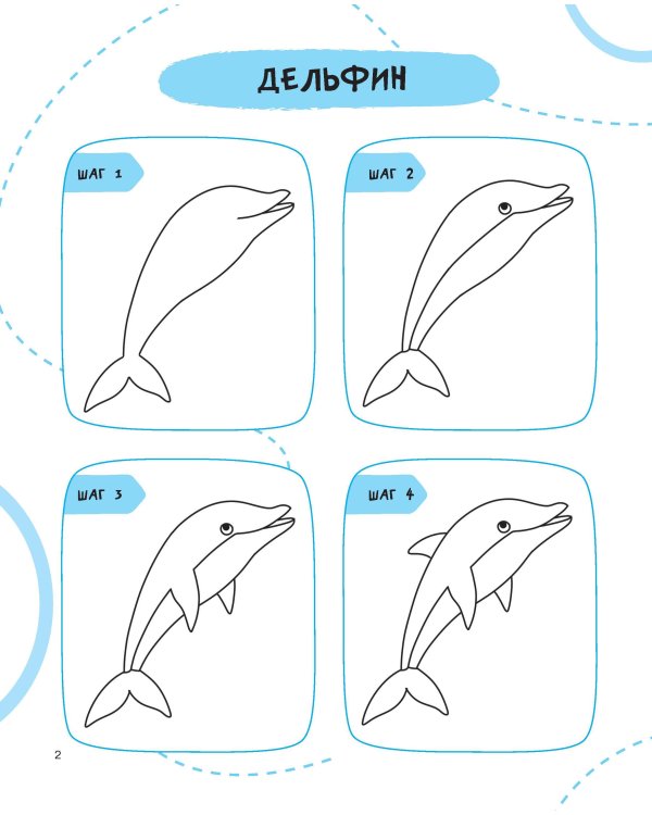 Рисуем за 30 секунд рыб, птиц и насекомых